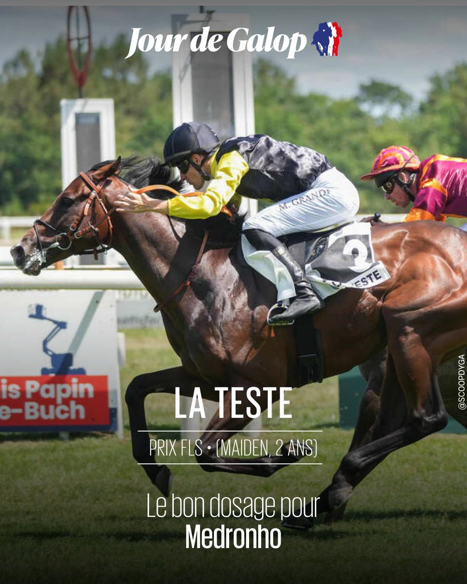 Jour_de_Galop's tweet photo. ⭕ #LaTeste – Prix FLS (Maiden)
Medronho (Territories) ouvre son palmarès pour sa deuxième sortie. Le pensionnaire d'A.J Baptista Ribeiro de Abreu et représentant de Luis Carlos Oliveira Fernandes s'impose avec autorité et laisse entrevoir un bel avenir
👉 https://t.co/oZJcmHeLGj https://t.co/m6ZbdxcvQL