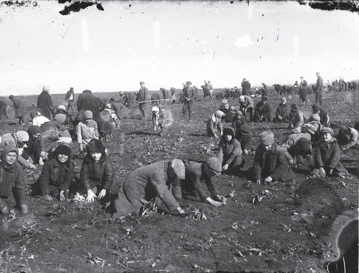 HistoryBoutique's tweet photo. It’s very simple, SOCIALISM sounds good but it is very very bad.

Do you really trust the government to provide for you?

1930s - The Holodomor (1932-33): Stalin starved 3.5-5 million Ukrainians to death. Families ate grass, bark, even their own children while the regime exported grain.

1950s - China’s Great Leap Forward (1959-61): Mao’s central planning and forced communes caused the deadliest famine ever. 15-45+ million dead. Starving peasants boiled leather and roots while officials chased impossible production quotas.

1970s - Khmer Rouge Cambodia (1975-79): Pol Pot’s Year Zero communism emptied cities, abolished money & property, and murdered ~2 million (25% of the population) in the Killing Fields. Skulls still fill memorials from systematic slaughter.

2020s - Venezuela’s 21st Century Socialism: Nationalization, price controls & oil money fueled hyperinflation over 1,000,000%. Empty shelves and widespread hunger in what was once Latin America’s richest country.

Socialism’s track record is mass graves, empty stores, and broken economies. 

Central planning doesn’t just kill innovation and crush freedom, it delivers poverty & death every single time it’s tried at scale.

The question is, do you trust the government to provide for you or would you rather keep more of your money and provide for yourself? 

If your response is the latter you are for small government and you are a republican.

We must choose prosperity, liberty, and free markets.