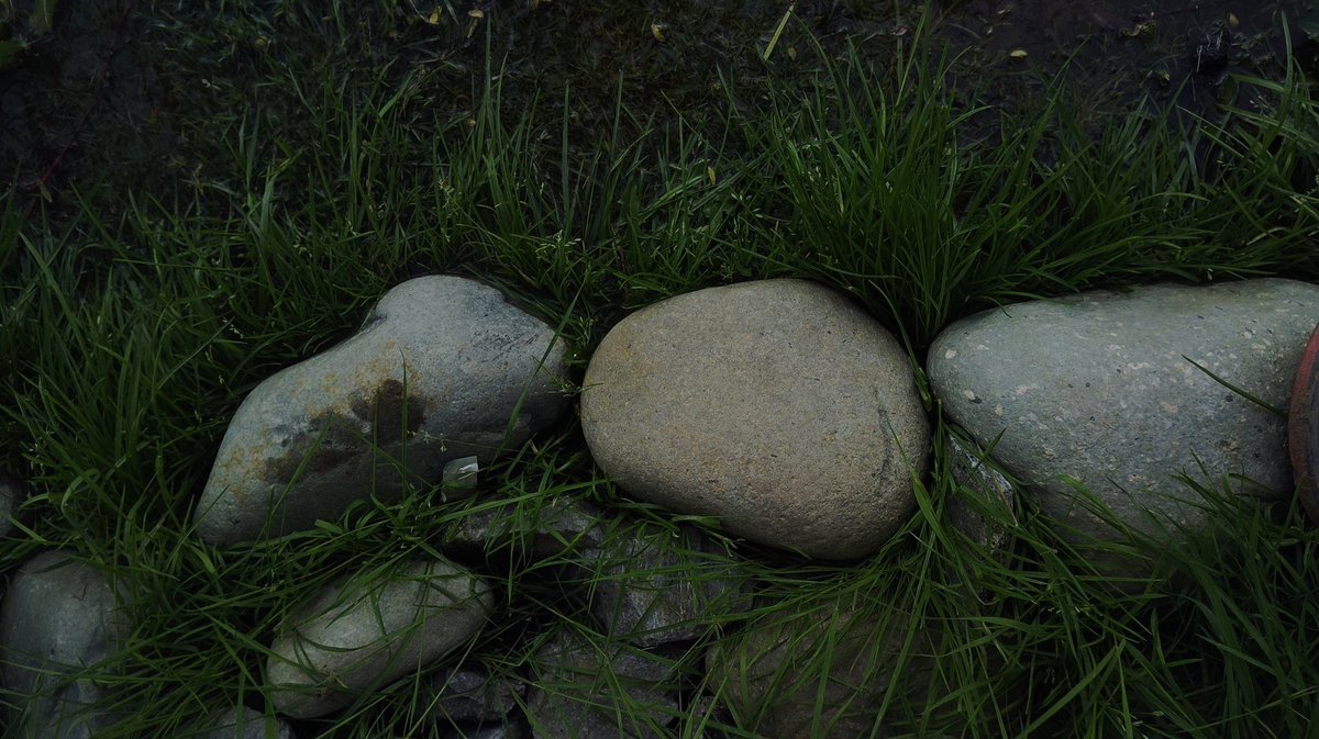 photographer__z's tweet photo. Nature’s silent poetry. https://t.co/eUXbxpHjIi