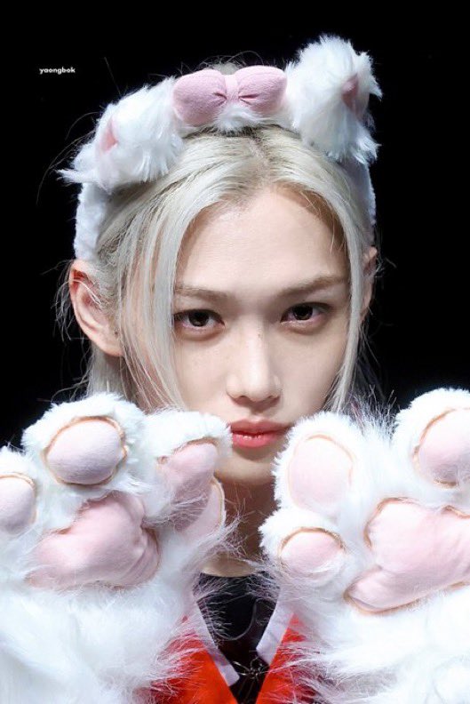 rebirthspiritXL's tweet photo. Him #Felix
#FelixEffect #animaltwt https://t.co/J1qGzlJltt