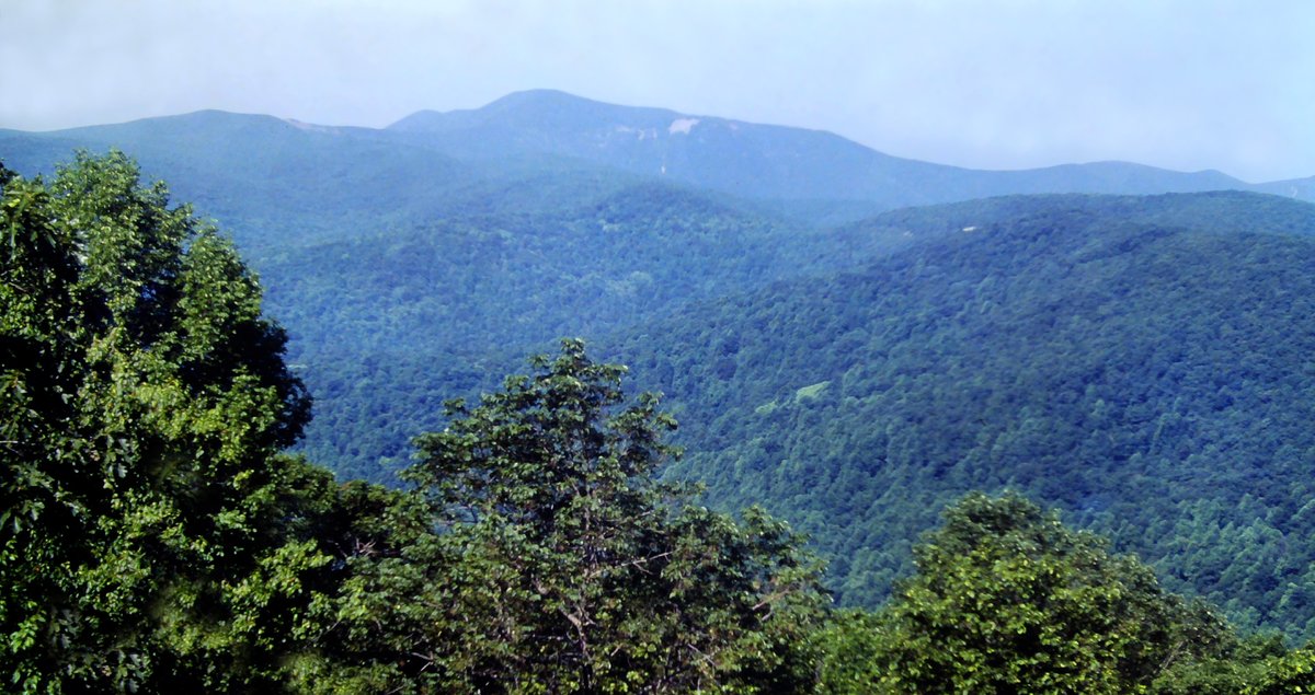 GSteffanos's tweet photo. July 1, 1983, 43 years ago today: There were some highlights along the way. A few nice views looked westward over the upper Shenandoah Valley.
#backpacking #hiking #outdoors #landscapephotography #virginia #mountains #nature #forest #AppalachianTrail https://t.co/W3MuZQVkhe