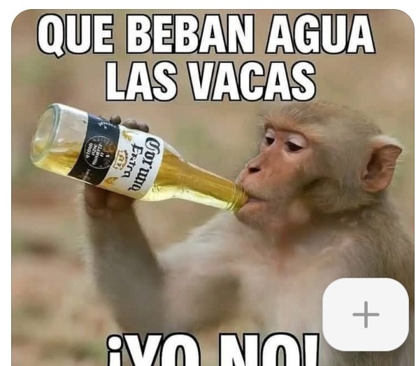 Josefi1019307's tweet photo. #TardeDeCalor🥵🔥🔥 https://t.co/E0KbKoyXS9