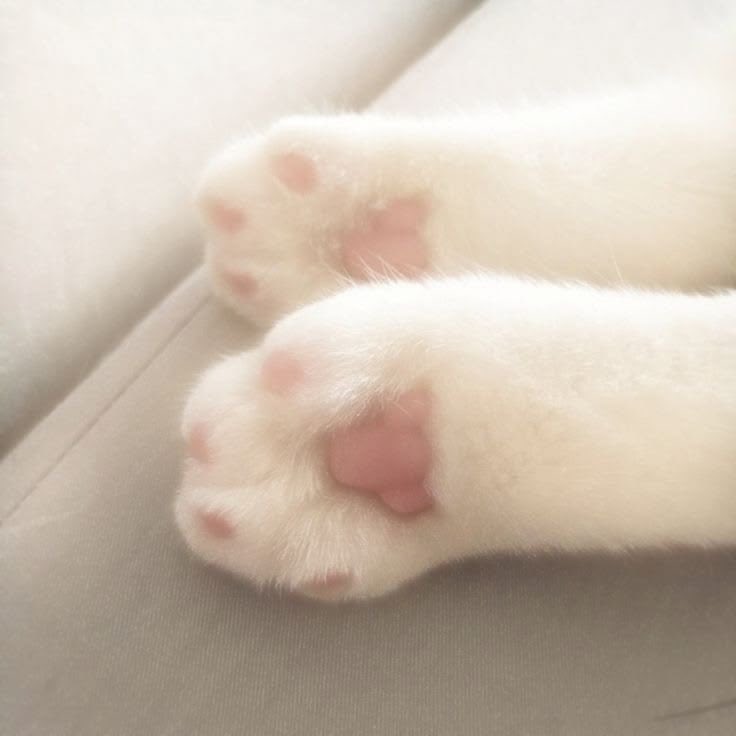anne ૮․ ․ ྀིა tweet media