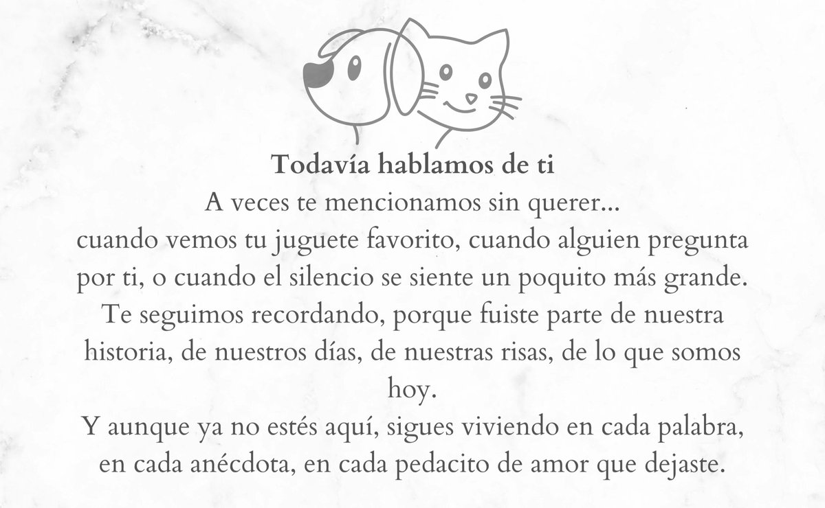 PameGuzman13's tweet photo. Mi gordito de amor 💕 https://t.co/Z6QxPsc5o8