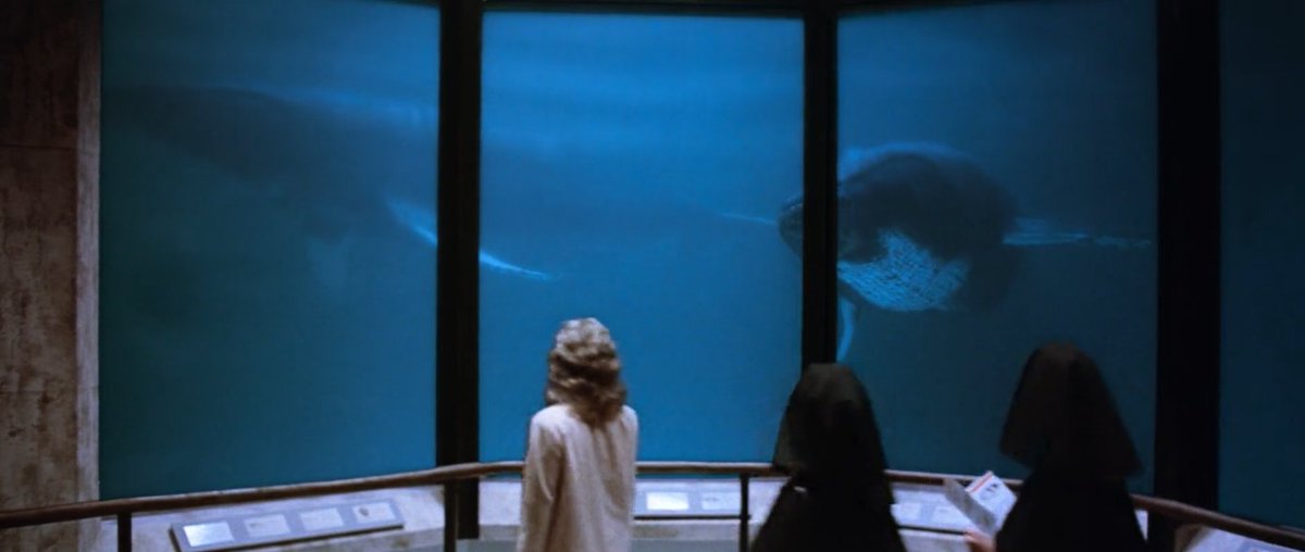 schumisnoopy's tweet photo. cetacean institute from star trek: the voyage home appreciation post https://t.co/5YU8yltrh7