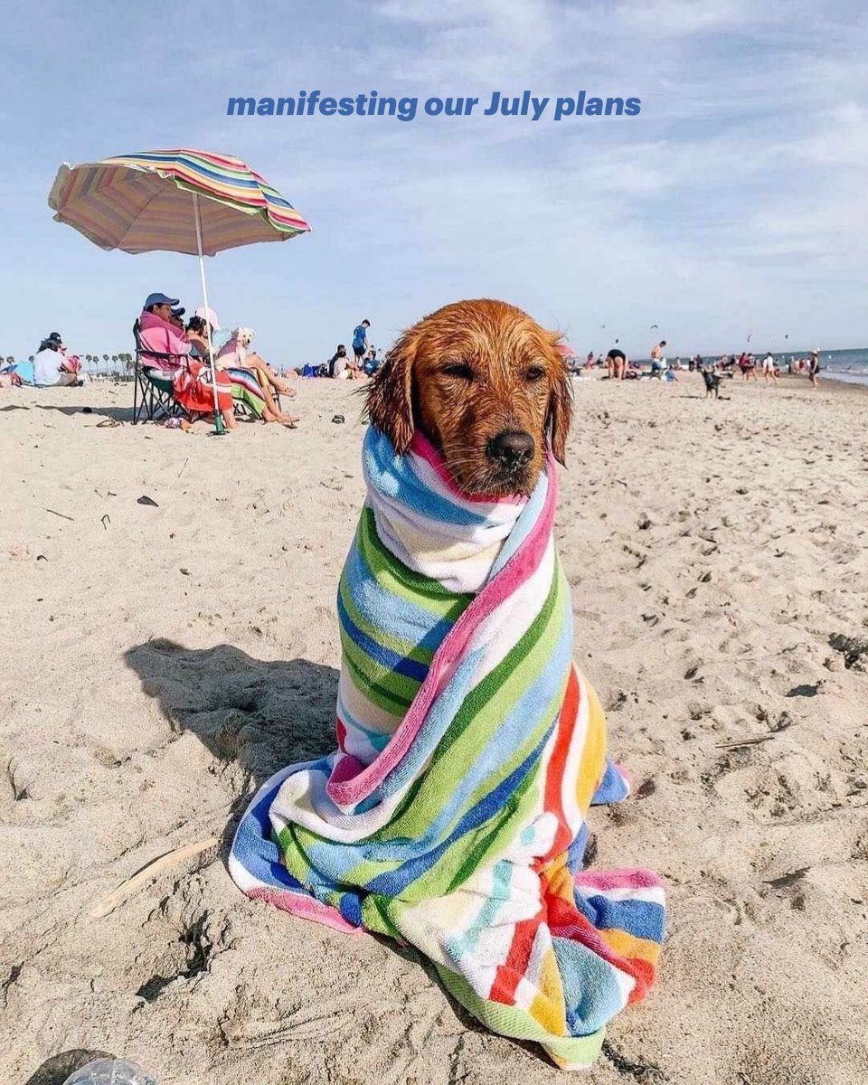 dogtv's tweet photo. Like this post to claim this energy for your July ✨ 🐾 

#DogPeople #SummerDogs #BeachDog #DogLovers #DogMom #DOGTV https://t.co/0KsVvg56rn