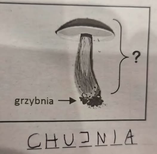 emulatorsiersci's tweet photo. Uwaga! #Opener to gówno. I proszę mi się wynosić z #Gdynia Dziękuję za uwagę. https://t.co/CvIYufFQrM