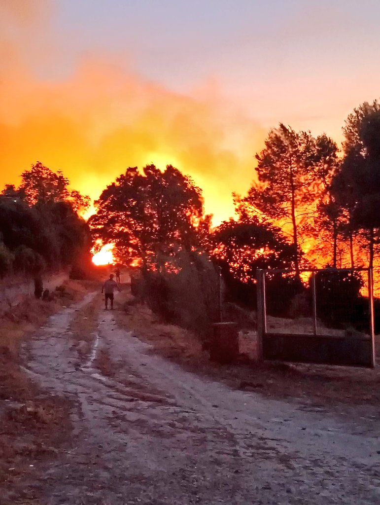 jmlopezcasla's tweet photo. #EstáPasando Incendio en las cercanías de la urbanización Nuevo Borox, en Borox (Toledo). Las llamas ya se encuentran a pocos metros de las casas y @prote_toledo les dice a los vecinos por teléfono que "hasta que no llegue el fuego a las viviendas" no se puede hacer nada. https://t.co/AGQ1dWbHDe