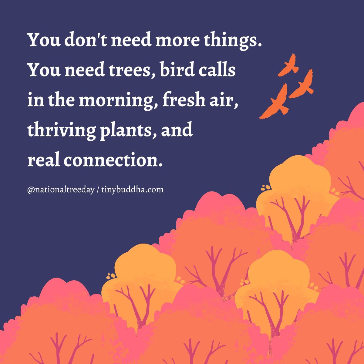 tinybuddha's tweet photo. You don’t need more things... https://t.co/DMi8fq9ryO