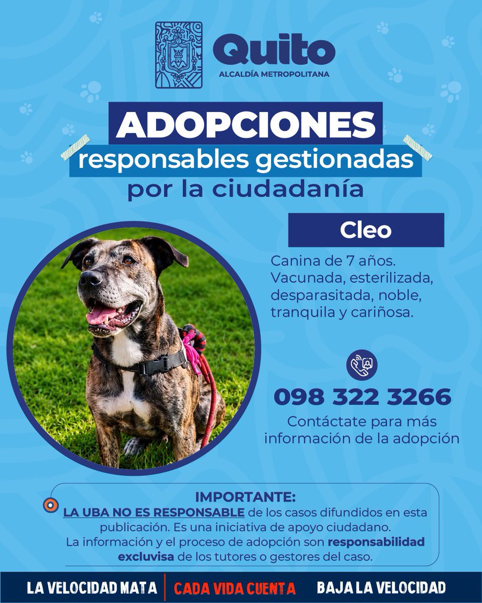 UBAQuito's tweet photo. 🐾 #AdopciónExterna | Adopta y descubre el poder de transformar una vida❤️‍🩹🏡.
Si no puedes adoptarla, ¡ayúdala a encontrar un hogar amoroso compartiendo esta publicación! 🐾
Con adopciones responsables #QuitoRenace 🍃 https://t.co/Dk0qFl1Qdh