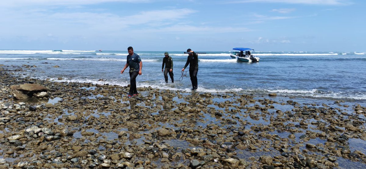 CRMinae's tweet photo. Mediante trabajo Interinstitucional:
EXTRAEN BATERÍAS EN DESUSO UBICADAS EN LA ESTACIÓN BIOLÓGICA SIRENA
• Las baterías fueron trasladadas desde la Estación Biológica Sirena, hasta Puerto Jiménez a bordo de una embarcación patrullera y se entregarán a una empresa autorizada https://t.co/TARXvVUQrA
