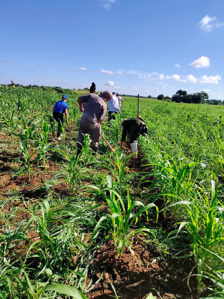carmeloortega38's tweet photo. El equipo de Coralsa sigue a la vanguardia, aportando a la producción de alimentos 💪.

#CreceConCoralsa https://t.co/S6FWFYZJXu