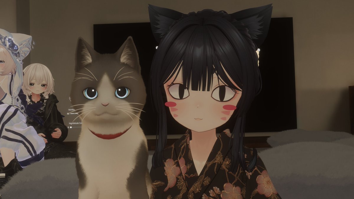 Post by うゆち。 on X: にゃん🐾