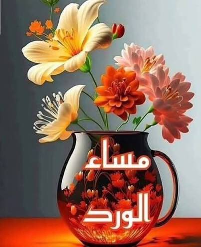 shams8977's tweet photo. https://t.co/ng8vl1o5Sl