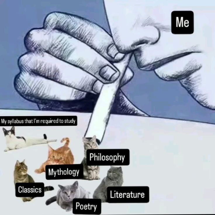 Narendra1Sn's tweet photo. What doesn't kill you, just makes you forget about your syllabus to study https://t.co/Du8xKsoMHD