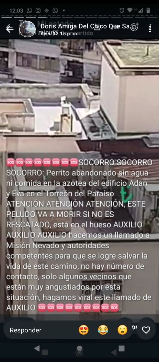 A64029345's tweet photo. URGENTE https://t.co/Cn2KIEYV15