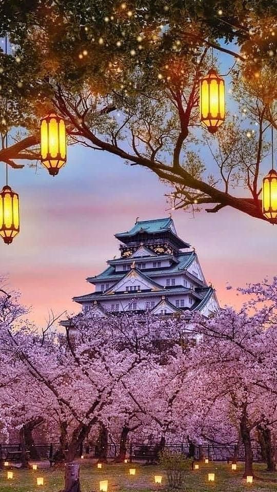 BeautifulA71927's tweet photo. Osaka Japan 🇯🇵 https://t.co/JbddRT7idX