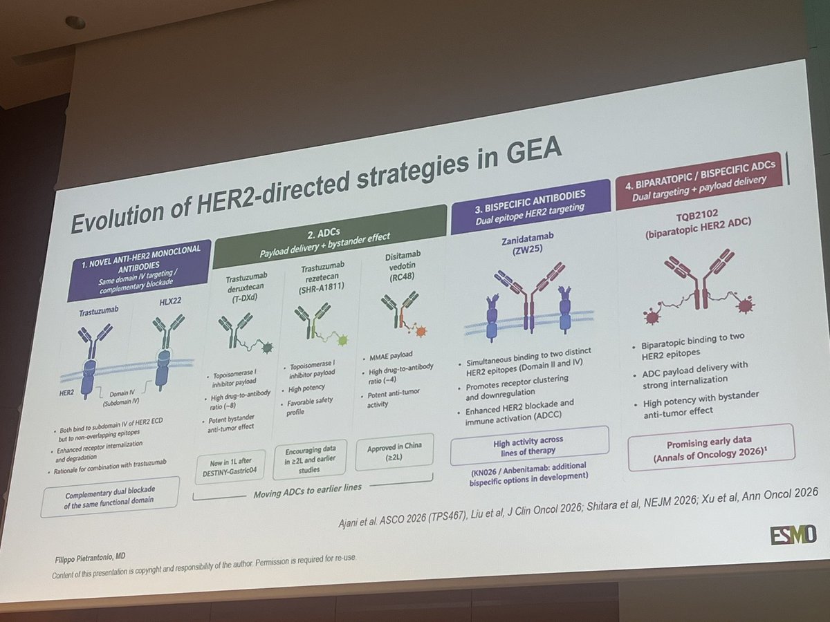 Erman_Akkus's tweet photo. 💊Evolving anti-HER2 portfolio in gastroesophageal cancer
#ESMOGI26 @myESMO 

#cancer #oncology #MedX #gastric @OncoAlert https://t.co/iqdQj0P5Ug