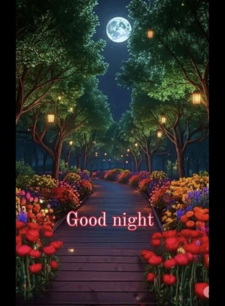 drmmeena83 tweet picture