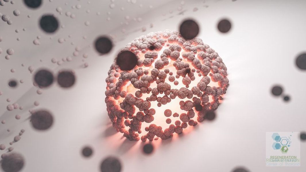 stemcellscenter's tweet photo. Six Natural Ways to Support Your Body's Stem Cell Health

https://t.co/ODIlRB6YFW https://t.co/F2D9AJGIeR