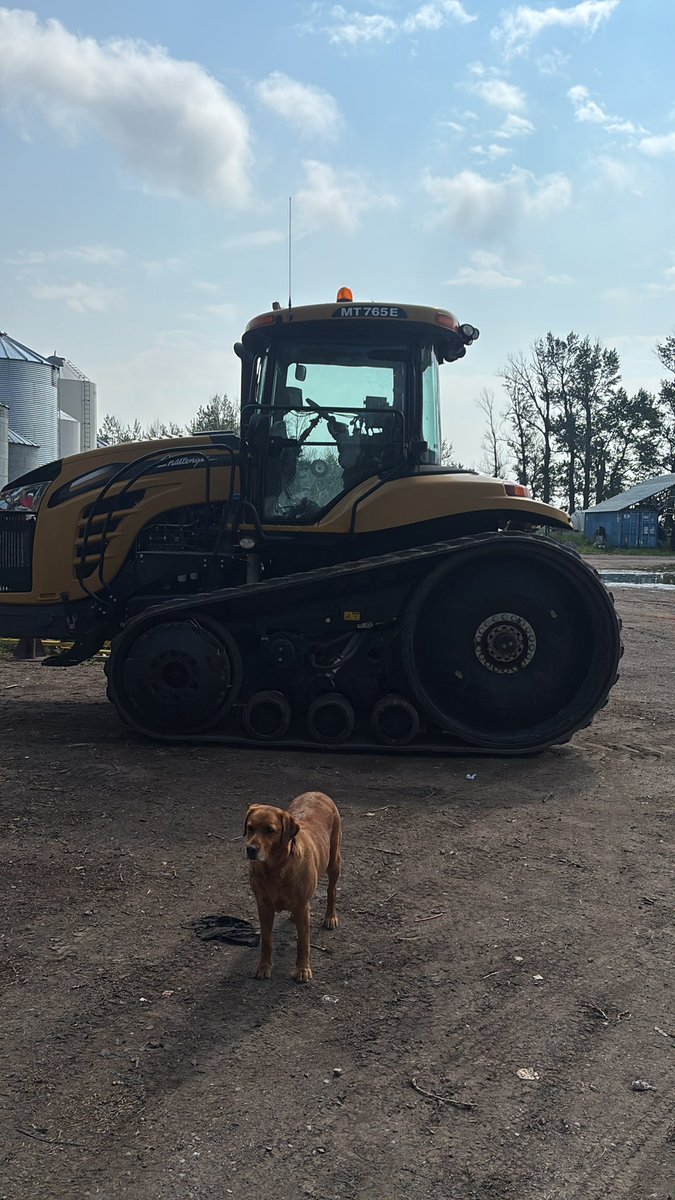 RobPage7's tweet photo. Where’s the best place to get tracks for an Mt765 https://t.co/CXgt0jG6rY