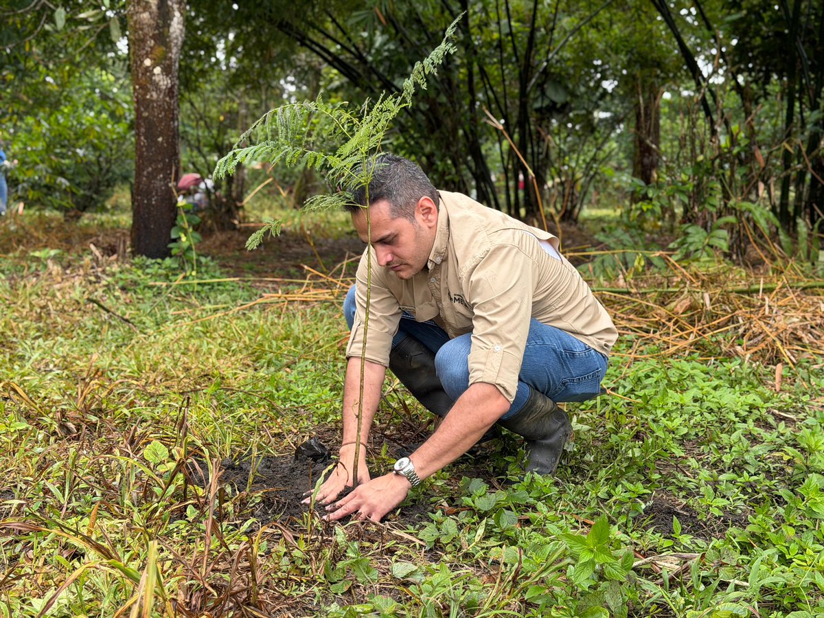 Manueljsr1's tweet photo. Celebramos 66 años de un departamento cuya mayor riqueza también está en sus bosques, ríos, sabanas y biodiversidad. Desde la Secretaría de Ambiente renovamos nuestro compromiso de proteger este patrimonio natural para las generaciones presentes y futuras. 💚🌿 #Meta66Años https://t.co/tqtLxE50YV