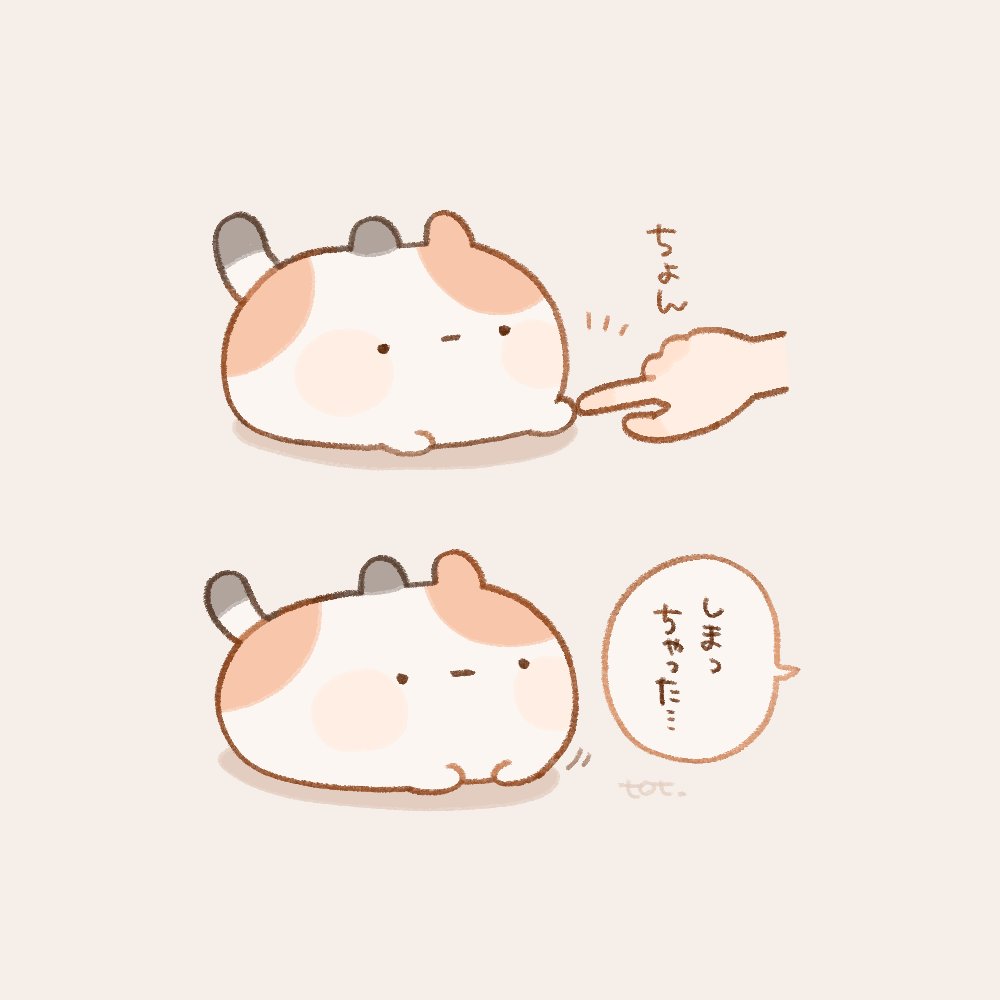 _to_tto's tweet photo. しまっちゃった https://t.co/qohw3eX6Bw