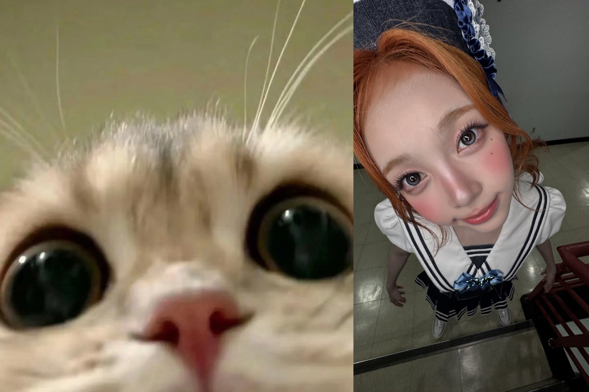 ianislove_1009's tweet photo. 완전똑같아 https://t.co/9dgoCRh3Ny