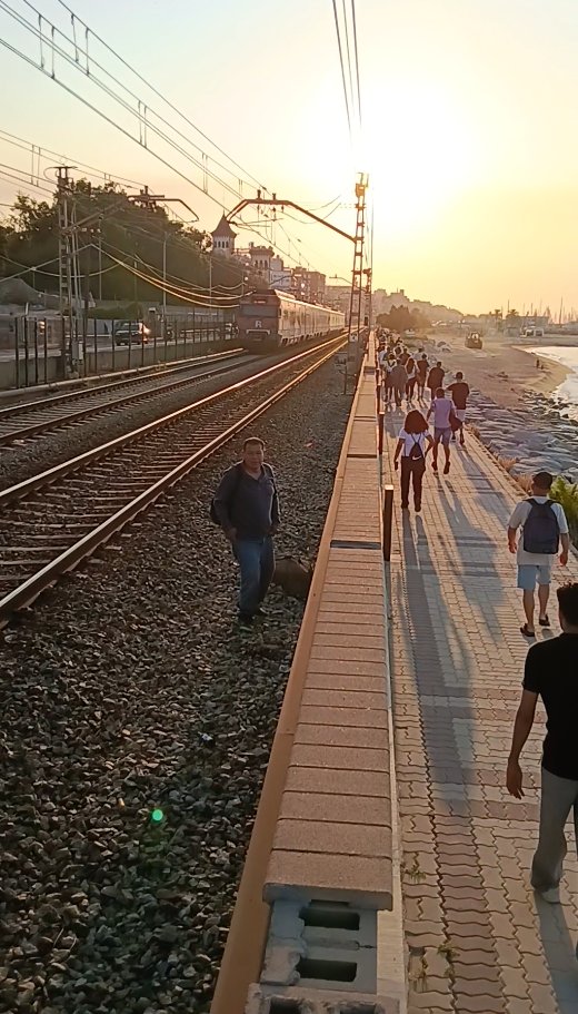 AfectRodalies's tweet photo. La foto del dia d'avui, els usuaris i usuàries sempre a les vies

Tothom venent fum però el servei no funciona

I sempre patim els mateixos

No hi ha dret

fotos de @pereboschg 6:25h a Masnou https://t.co/DiqeBQEci8