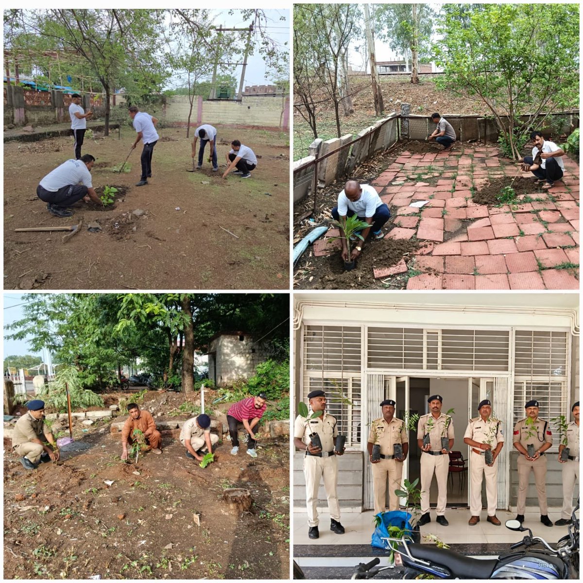 grpindore's tweet photo. 🌱 एडीजी रेलवे श्री राजा बाबू सिंह सर के निर्देशन में जीआरपी इंदौर का वृहद वृक्षारोपण अभियान।  282 अधि/कर्मचारियों ने सभी थाना/चौकी व आरआरपी लाइन में 800+ फलदार, छायादार व स्वदेशी पौधे लगाए तथा उनके संरक्षण का संकल्प लिया। 🌿
#MPPolice #GRPIndore @MPPoliceDeptt @mohdept https://t.co/1hUKnTV580