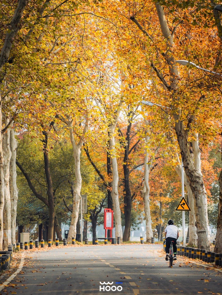Hazy00972724's tweet photo. The first cool breeze of autumn is here—pull out your knit sweaters and savor the golden sunset afternoons! https://t.co/XVQdHB9DNS