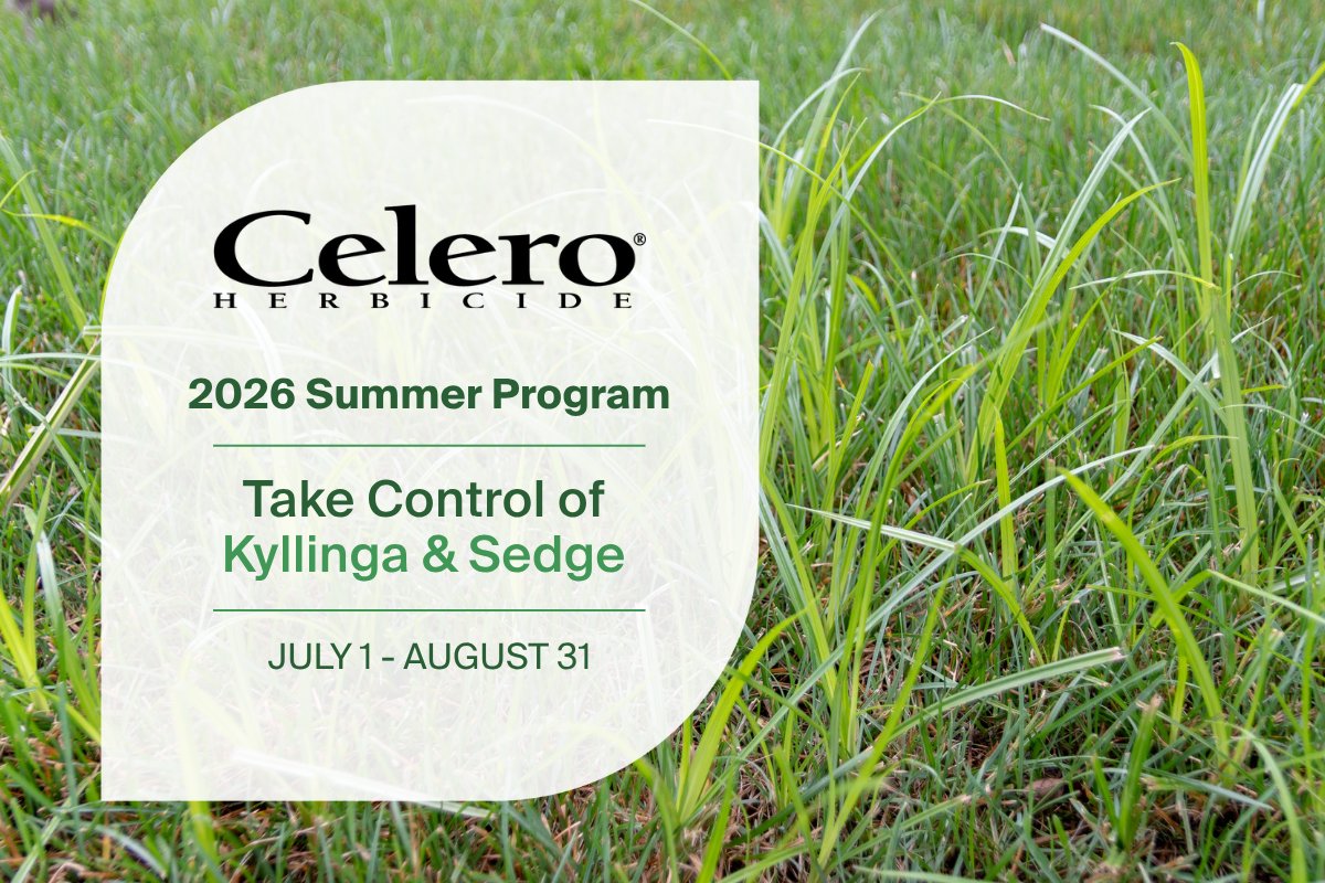 NufarmUSTurf's tweet photo. Now through August 31: SAVE while tackling kyllinga and sedge!

Our newest summer program addition provides savings on Celero®. It's the ideal solution for difficult-to-manage sedges. 

Find out more: https://t.co/qNlEhKHI06 https://t.co/gXuGf6YIRR