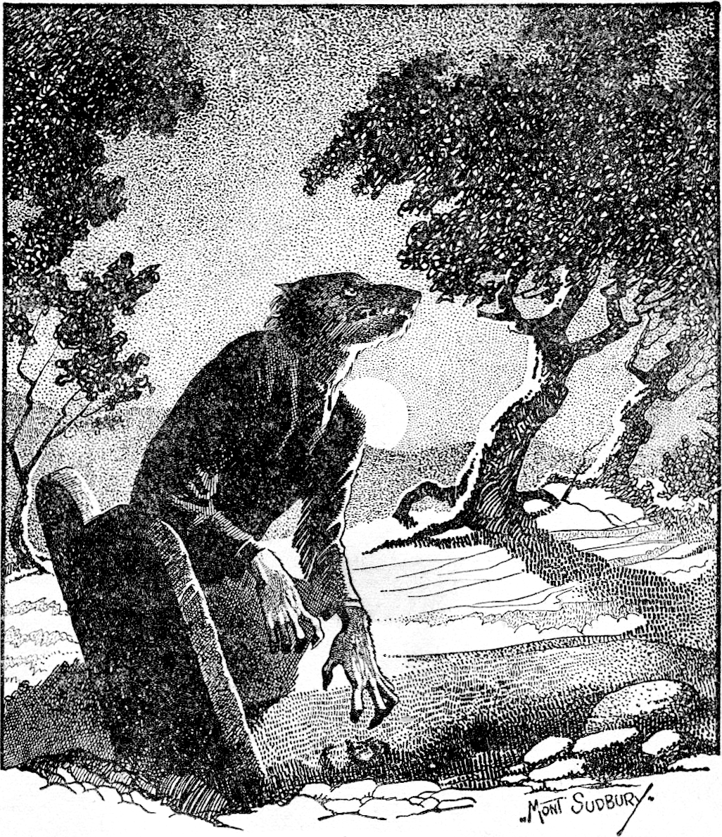 PROMAKOS_'s tweet photo. El hombre lobo en España. El mito frente a la Inquisición Española.

España tuvo sus propios hombres lobo mucho antes de que el cine los reinventara. En el noroeste tenemos, con gran arraigo en el folklore hasta nuestros días, al lobishome y al home llobu, entre otras figuras. La creencia más extendida decía que el séptimo hijo varón seguido, sin ninguna niña de por medio, o el que nacía en Nochebuena o en Viernes Santo, cargaba con una maldición que lo obligaba a convertirse en lobo. Para transformarse se revolcaba en la tierra, y luego corría los montes de noche durante siete años, hasta que otra vuelta sobre el suelo, o una herida a tiempo, rompía el hechizo.

Se trata, como vemos, de un mito vivo, con sus reglas y hasta sus remedios, como el de que un hermano mayor apadrinara al niño para librarlo de la fada, la maldición. Y esa creencia, la de que un vecino cualquiera podía correr las noches en figura de lobo, acabó un día delante de un tribunal y ahí es donde España tomó un camino muy distinto al del resto de Europa.