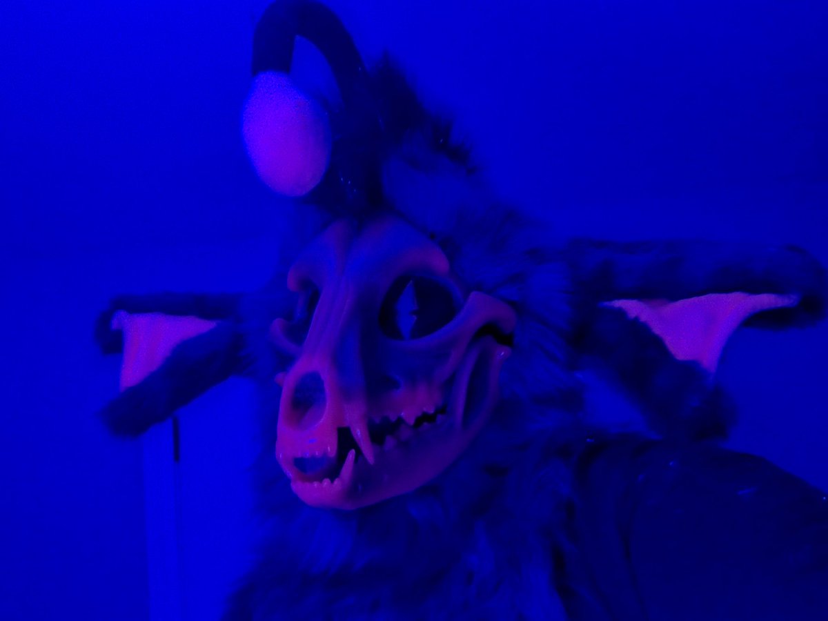 softer_bug's tweet photo. Newest to the family, the Angler Skull Dog! This premade is looking for a new home, and I am looking for offers above 7️⃣0️⃣0️⃣
To catch this guy and bring him home, DM me! And as always, boosts appreciated!

#fursuitforsale https://t.co/ECK8hFwntS