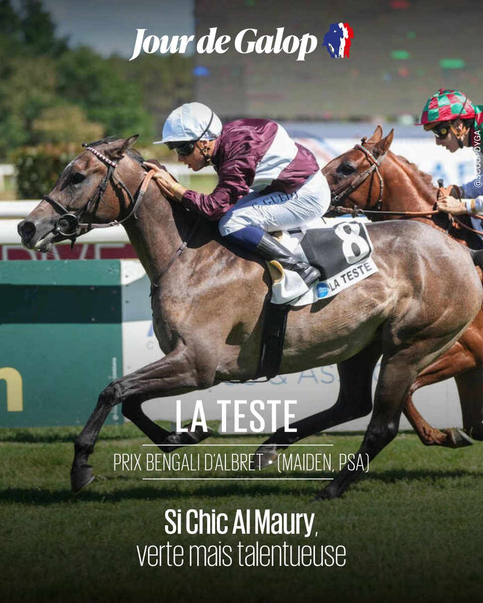 Jour_de_Galop's tweet photo. ⭕#LaTeste – Prix Bengali d’Albret (Maiden PA)
Très verte mais dotée d'une belle accélération, Si Chic Al Maur, pensionnaire de Xavier Thomas-Demeaulte s'impose d'emblée et laisse entrevoir un avenir prometteur chez les pur-sang arabes.
👉 https://t.co/oZJcmHeLGj https://t.co/E6bqQY4DhD
