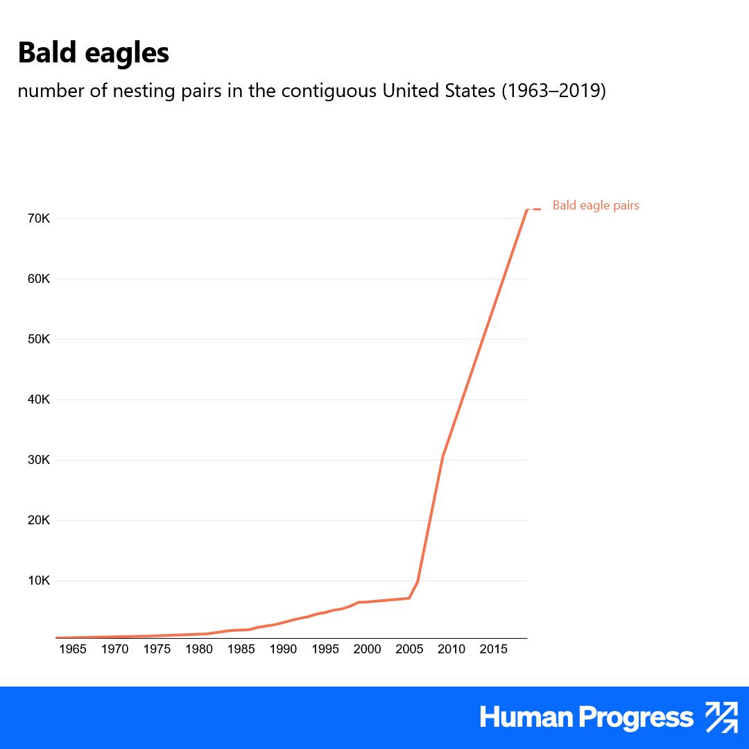 HumanProgress's tweet photo. The recovery of bald eagles in the United States is one of the most dramatic conservation success stories of the century.

Between 1960 and 2019, the number of nesting pairs in the contiguous US grew from a few hundred to over 70,000. https://t.co/8TOkhjRCAv