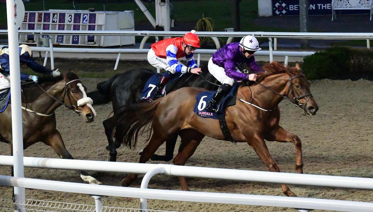 BarodaStudIre's tweet photo. We have two wildcards for the upcoming @Tattersalls1766 July Sale:

Lot 229E - 101 Timeform rated colt Tiberius Thunder

Lot 229F - Leopardstown Maiden Winner Pisiffik Ginger    

They’ll both be selling in Newmarket on Tuesday the 7th. 

#TheBarodaWay https://t.co/y8yx0LOrvy