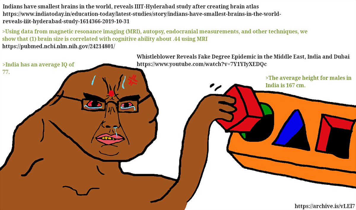 EndtheFalungong's tweet photo. @zhao_dashuai Those parasites must have eaten a lot of Indian brain cells. Indians are destined to be retarded https://t.co/DFKDUYFgN6