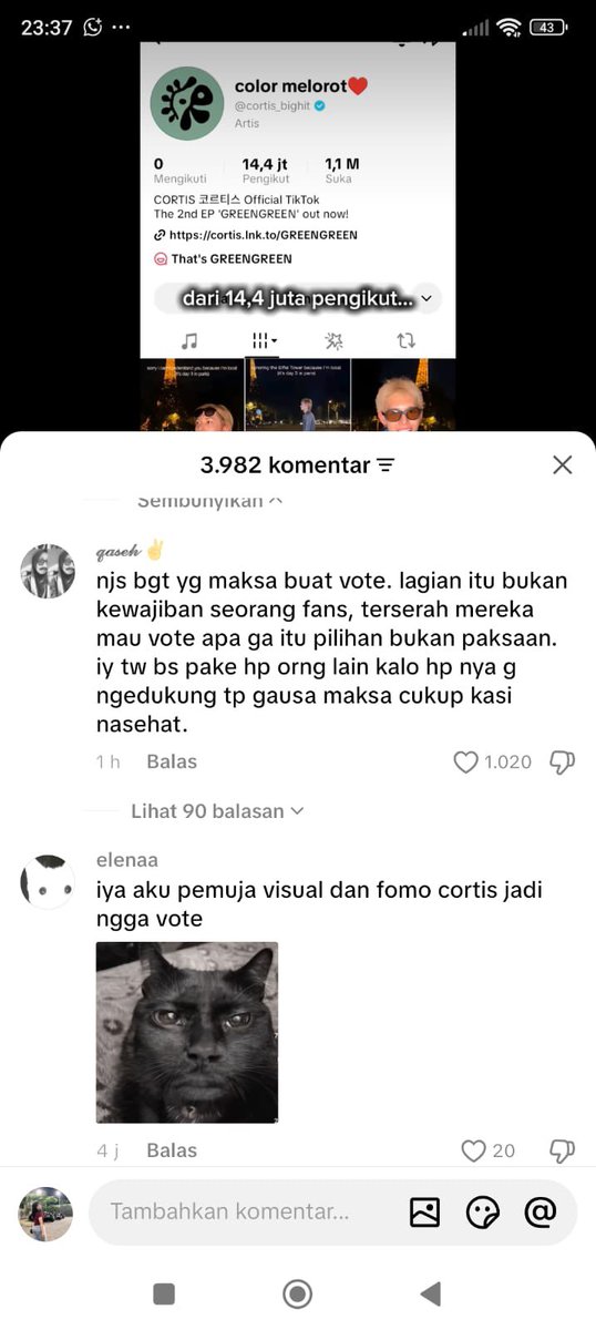 nata 🍵🐢 tweet media