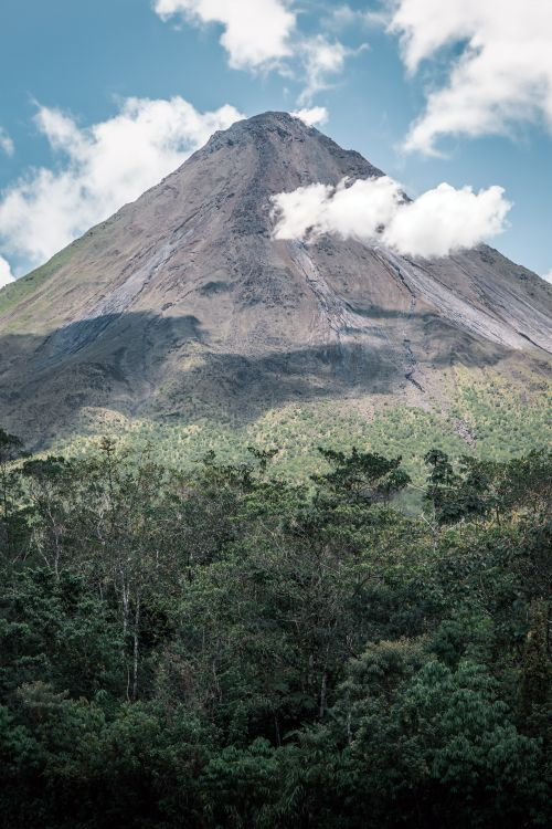 CuriosityonX's tweet photo. 🚨: In a historic environmental turnaround, Costa Rica has doubled its rainforest canopy over the last few decades, making it the very first tropical nation to fully reverse deforestation. https://t.co/okJgN1hxcg