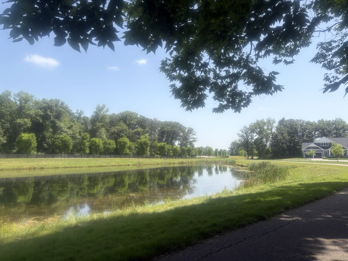asianposh2022's tweet photo. Another day of running in the heat 🥵 #6miles 🏃‍♀️

Corn Nation here!  I love seeing the green! #delawarecountyOhio https://t.co/fzUsygpTrU
