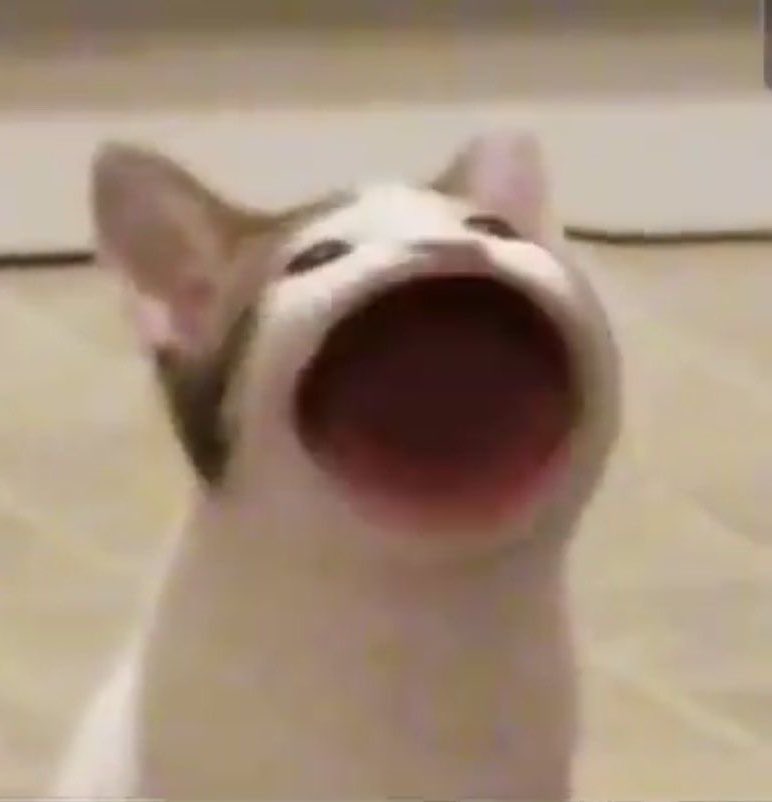 taesl0ver's tweet photo. that’s literally him 😭😭😭 https://t.co/0ZyfMiOyal