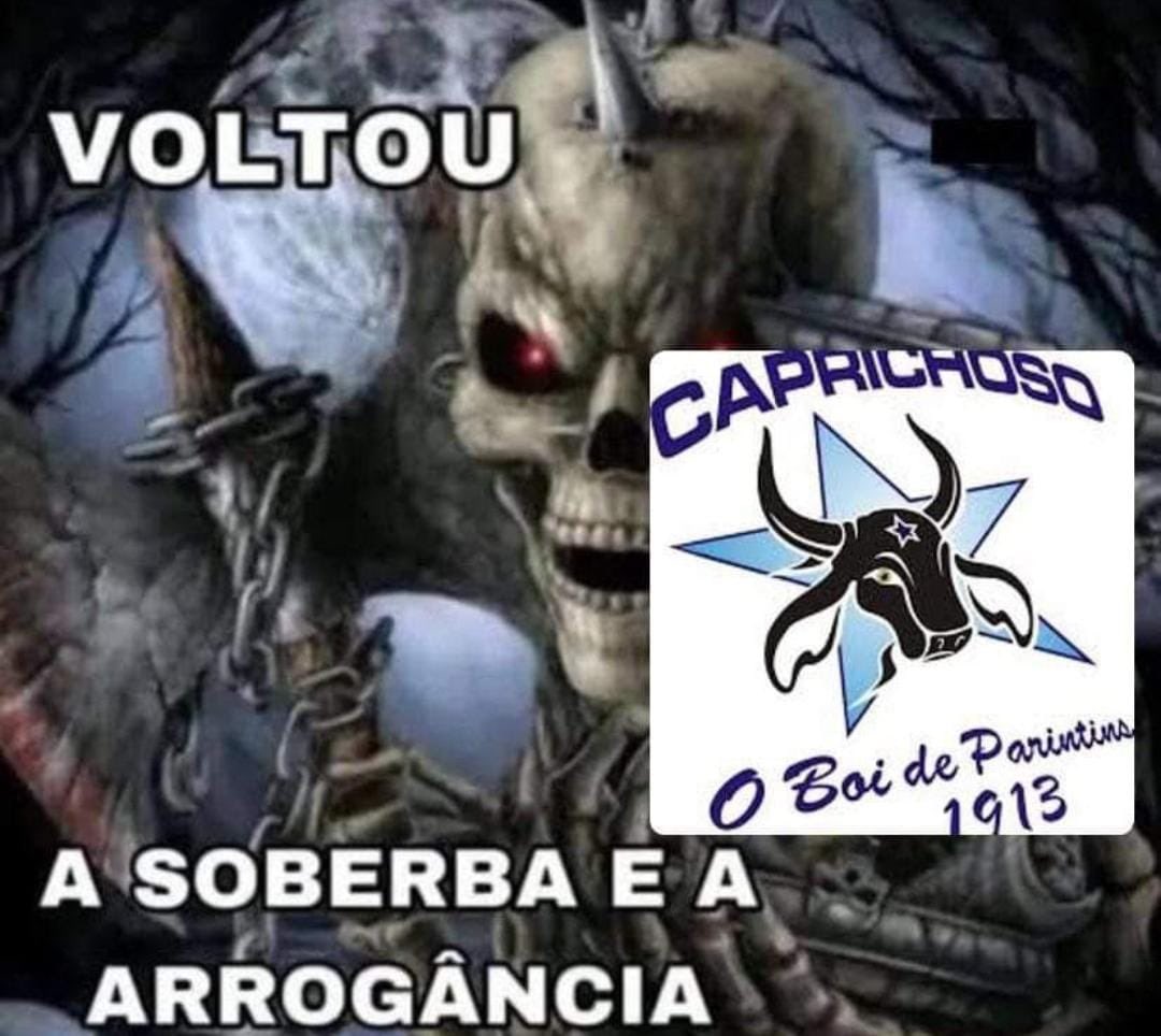 pqpasylum's tweet photo. ganhou a campanha de doação de sangue do hemoam, o recicla, o fortnite, o festival e agora é o boi de parintins mais seguido do instagram ☝🏼 https://t.co/olQdOC8ttB