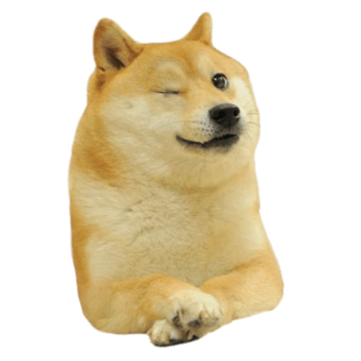 Tap_Fintech's tweet photo. @BillyM2k Yield on Doge 👇😉 https://t.co/4aK9nwoWwC