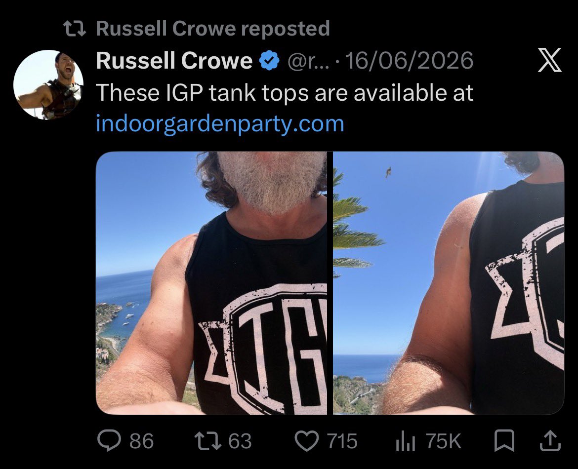 sphaeroposting's tweet photo. yk how funny it is to me that russell crowe swooped in, tried to ride the rpf/healymarch high and promo his movie, get his biceps out, and then leave https://t.co/b0Xi9ATb4e