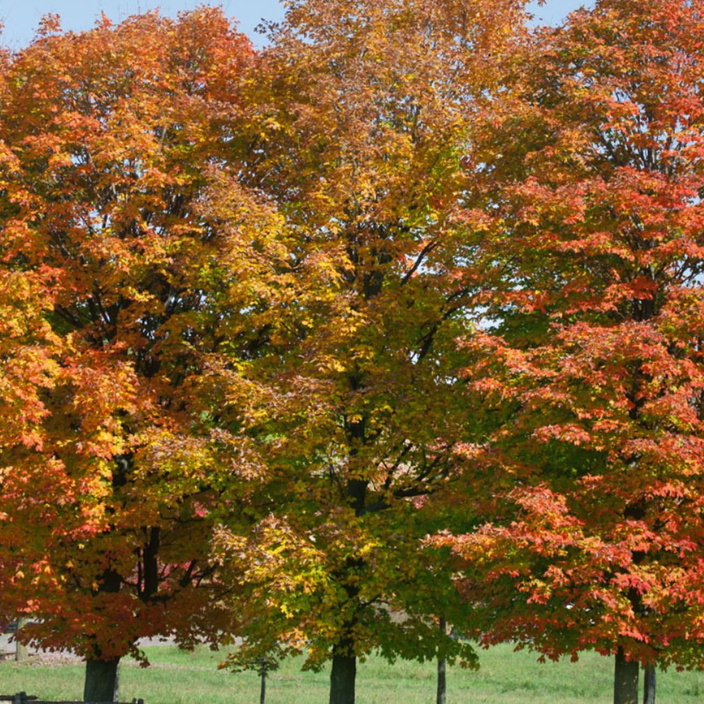 GLHancock tweet picture