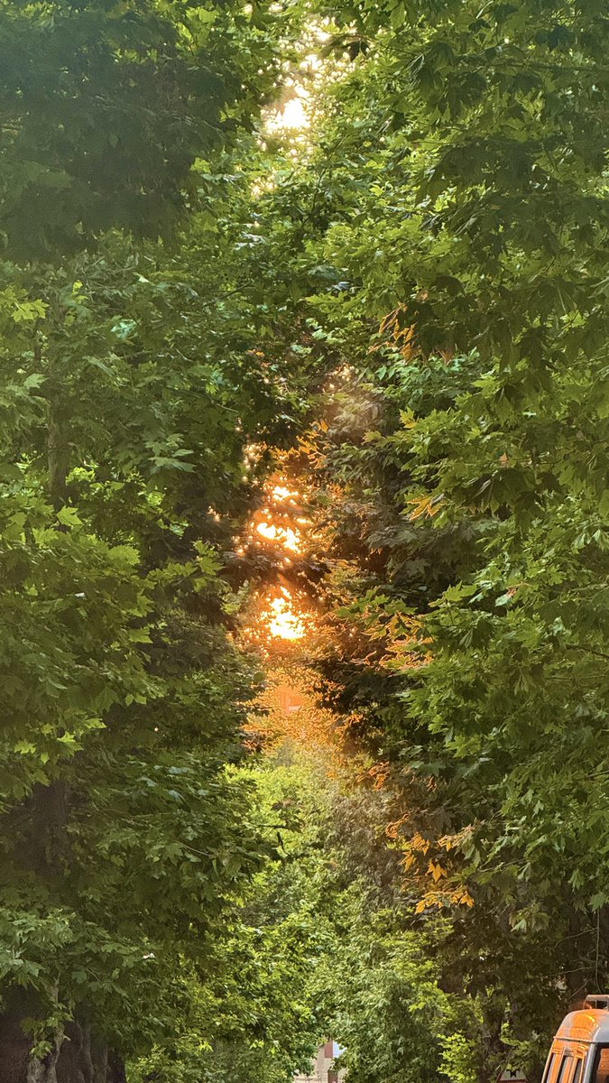 kubraderlermis's tweet photo. Gün batımlarına, Allaha ve aşka inanıyorum 🌞❤️ https://t.co/p3xYmmt60g