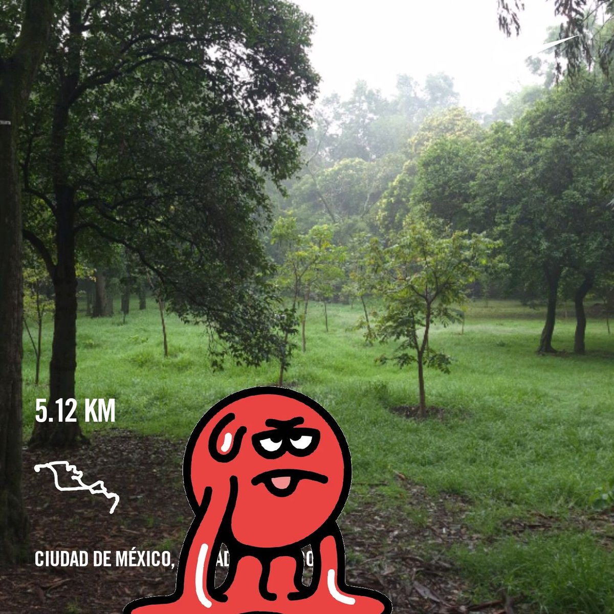 efrencasas's tweet photo. #WednesdayMotivation #running #nikerunning #yoelegicorrer #fitover61 #corrersana #RunDay #Chapultepec #CDMX #Laufen #esdecorredores https://t.co/53yNQhN20X