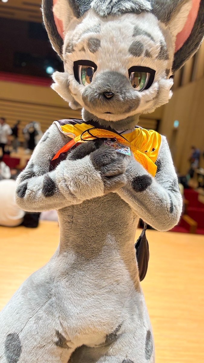 ハル🔜 6/20ケモノスクエア🦊🐺 (@haru_chine) / Posts / X