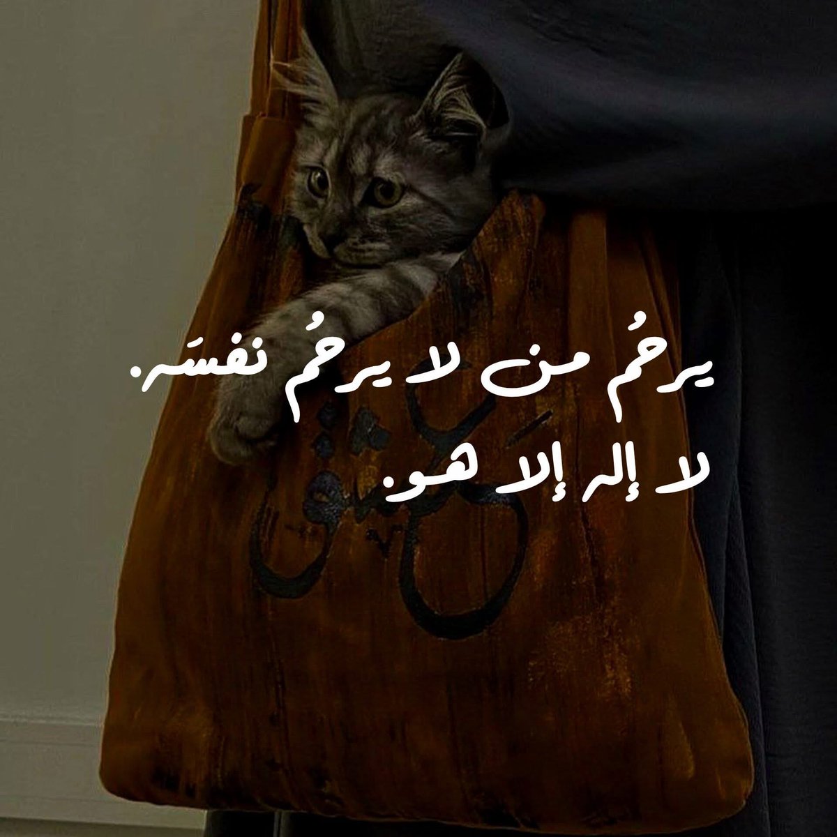 sara_ioioi's tweet photo. “” https://t.co/pRroRLDFuG